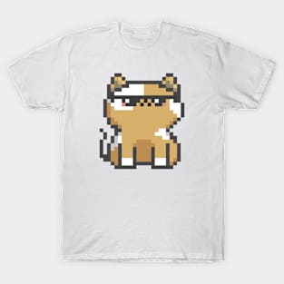 Pixel Quiet Ginger White Spots Cat 81 T-Shirt